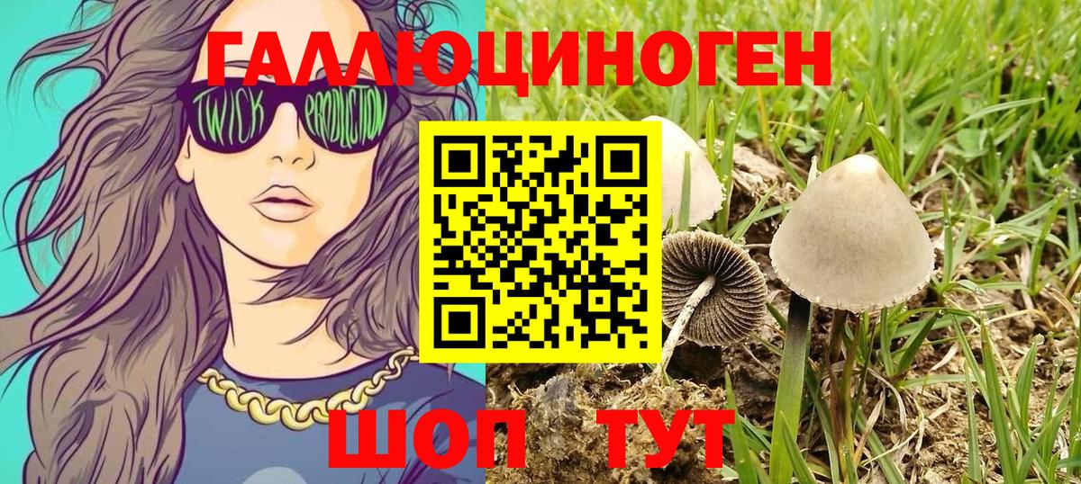 Галлюциногенные грибы GOLDEN TEACHER  Вход с VPN  Галлюциногенные грибы Psilocybine cubensis  Сибай 